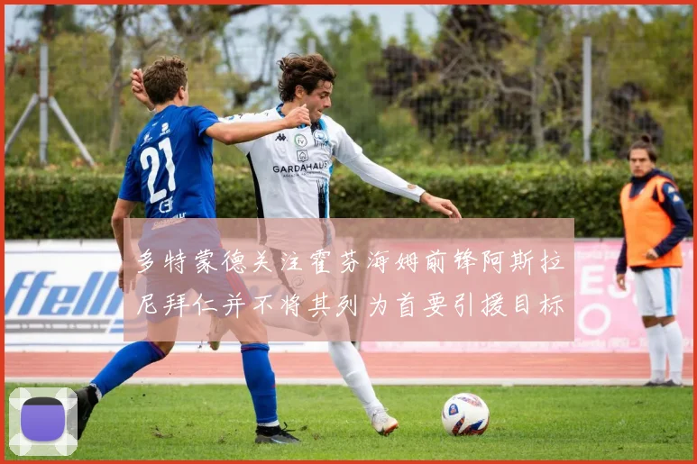 多特蒙德关注霍芬海姆前锋阿斯拉尼拜仁并不将其列为首要引援目标
