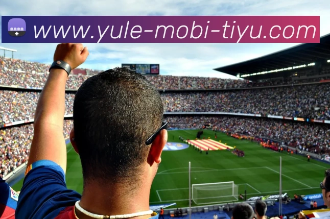 乐鱼体育平台生态图